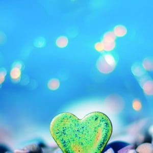 Perinatal Palliative Care